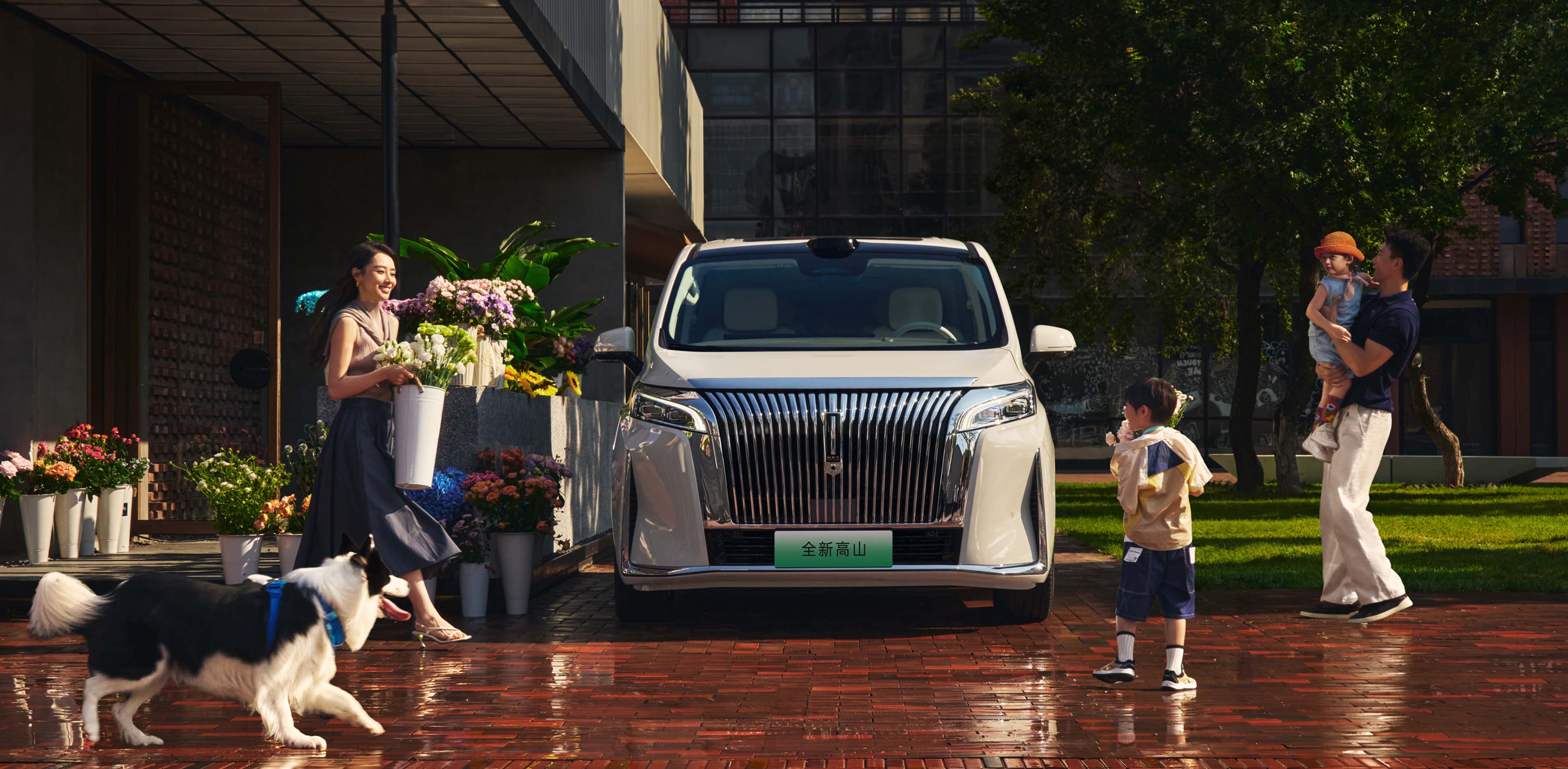 【PAM:013】WEY 2025 Model 4WD Gaoshan 9